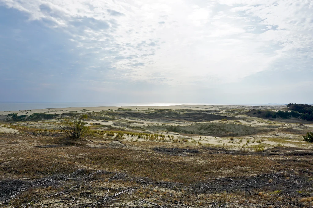 Куршская коса, поселок Морское, побережье Балтийского моря, Фото: Валерий Орлов, starput.ru