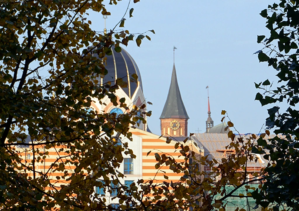 Калининград, вид на Новую синагогу и Кафедральный собор, Фото: Валерий Орлов, starput.ru