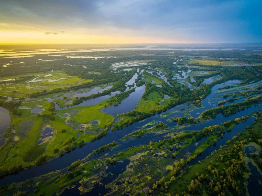 Так выглядит дельта Волги (фото: drive2.ru/l/529206492394423656)