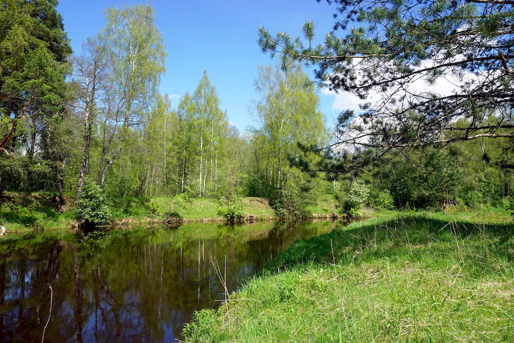 Дорога в Охотино пересекает речку Нерль с живописными берегами, фото: Валерий Орлов, starput.ru